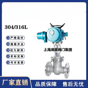 Z941W-16P，DN250，CF8/F304不銹鋼電動(dòng)閘閥